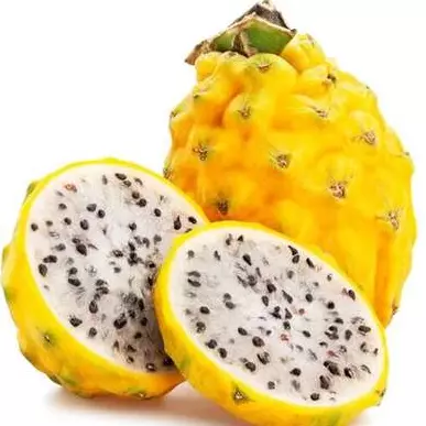 pitahaya